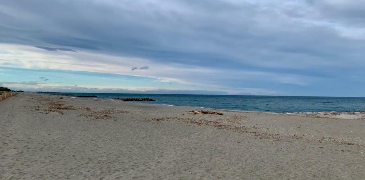 Un Petit Coin De Paradis Daire Saint-Cyprien  Dış mekan fotoğraf